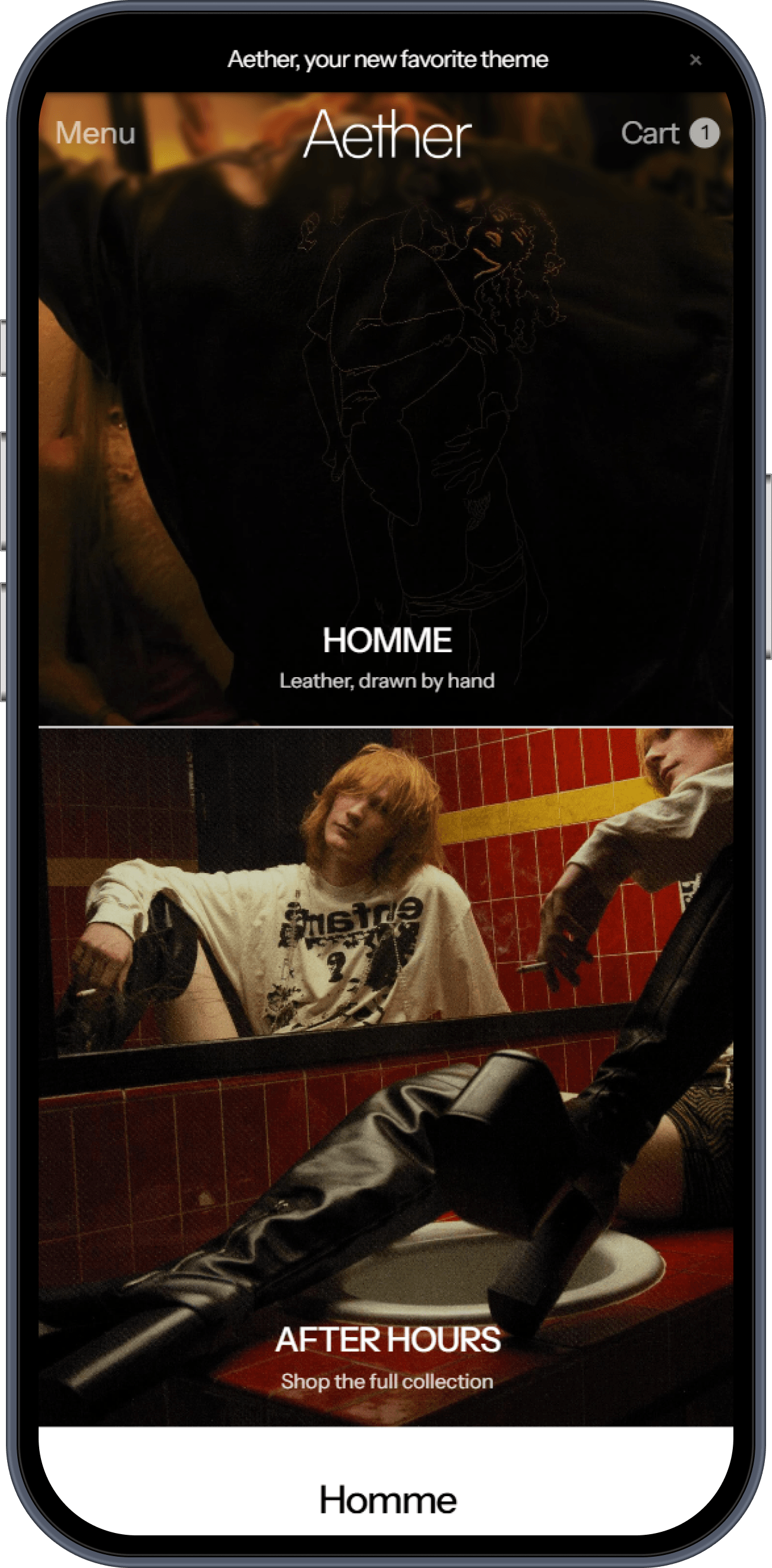 Aether storefront on iPhone