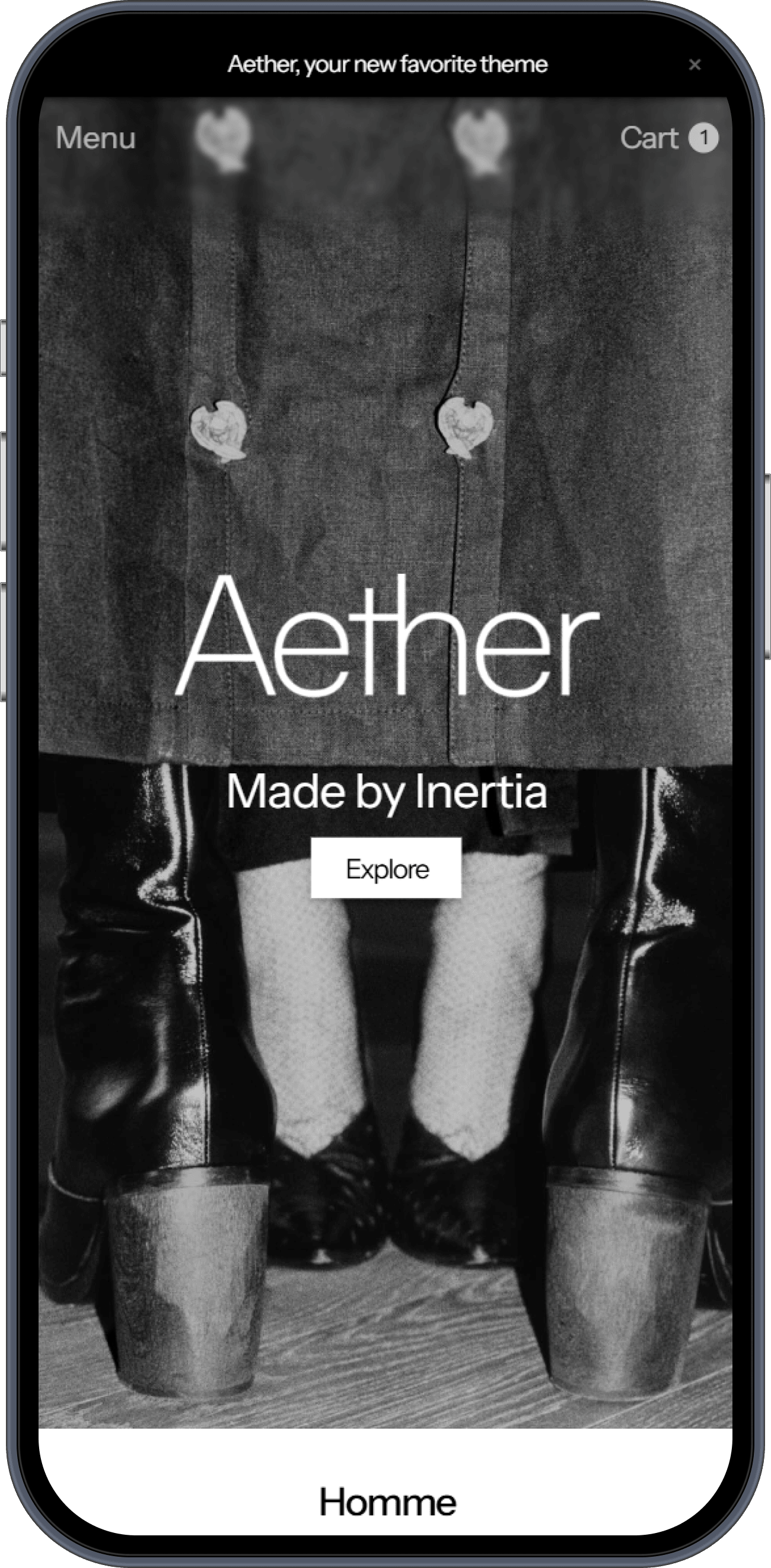 Aether storefront on iPhone