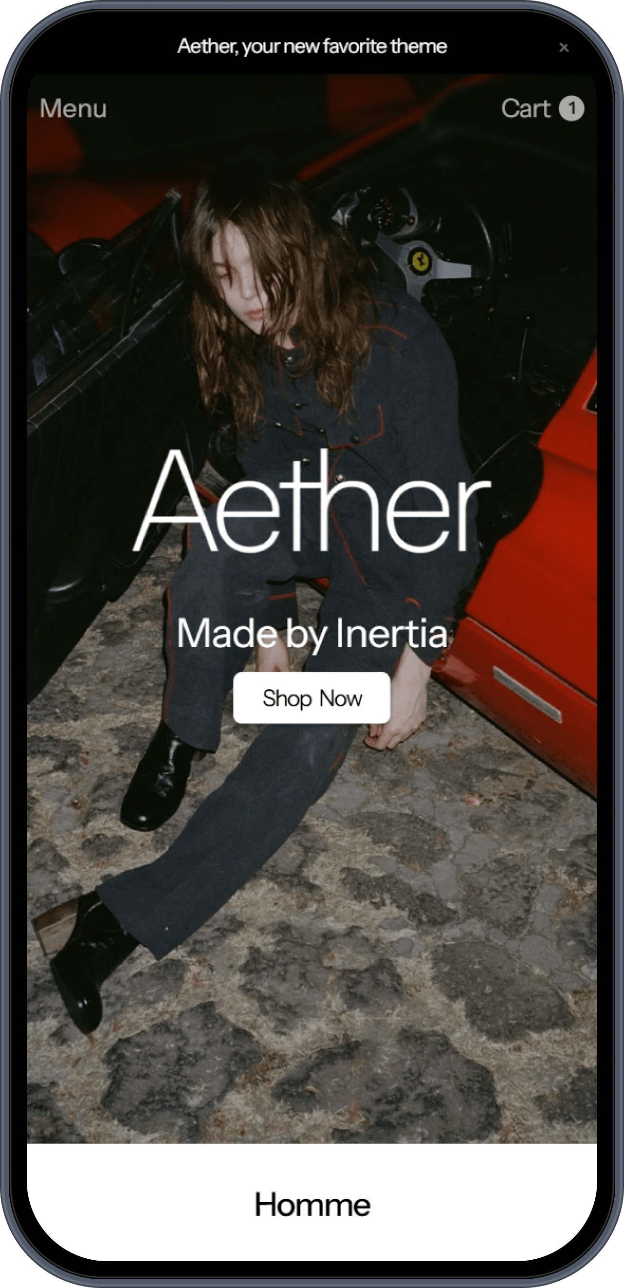 Aether storefront on iPhone